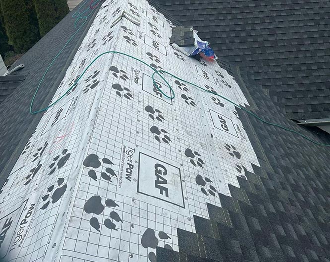 A roof in Portland