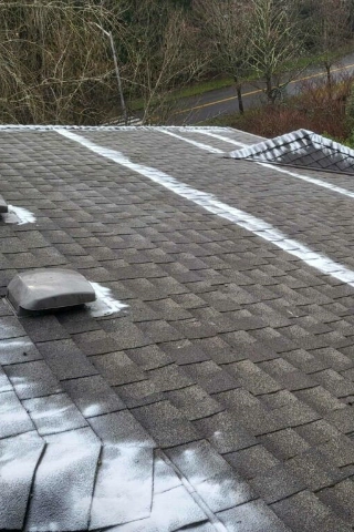 Professional roof cleaning and gentle soft wash moss removal treatment on a home under mature tree cover near Fanno Creek