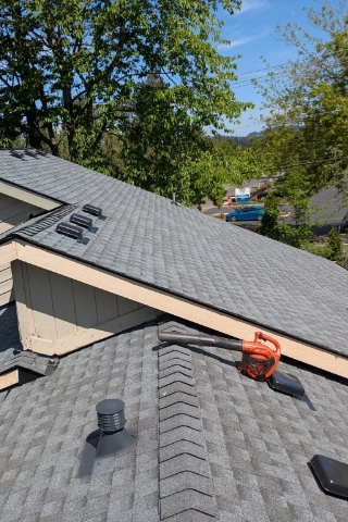 Professional roof cleaning and gentle soft wash moss removal treatment on a home under mature tree cover in First Addition
