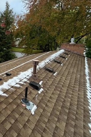 Clean asphalt shingle roof lines following a professional soft wash moss removal treatment on a home in Hidden Springs.