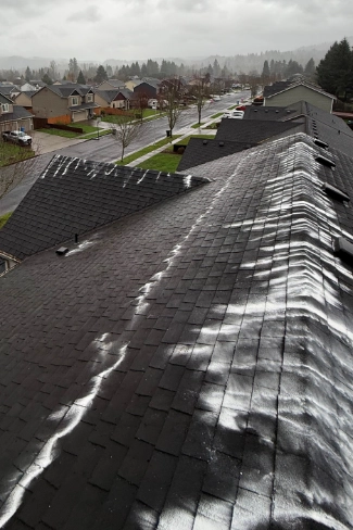 Clean moss free asphalt composite shingles after a preventative low pressure soft wash chemical treatment on a residential roof field in Linwood