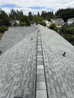 Eco-safe moss treatment and preventative roof maintenance protecting a residential estate in St Johns, Oregon.