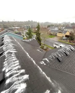 Roof surface after professional cleaning